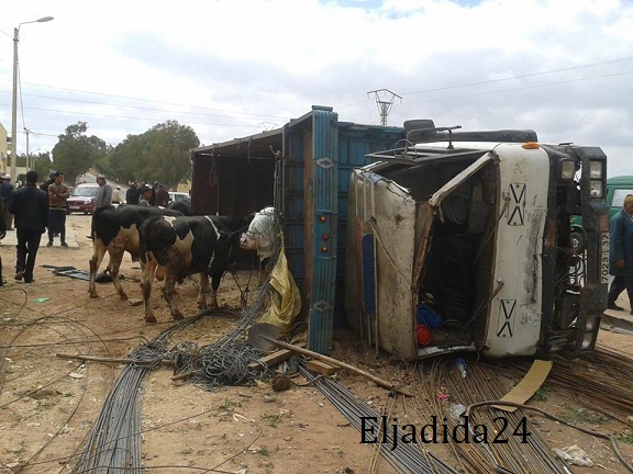 بالصور: انقلاب شاحنة أبقار قرب أولاد فرج وتضرر سيارتين خفيفتين