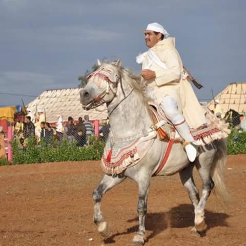 مهرجان سيدي عبد السلام بجماعة بركيك في دورته الخامسة لفن التبوريدة