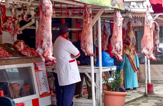 أسعار اللحوم في رمضان: انخفاض في أزمور وارتفاع في باقي جماعات إقليم الجديدة